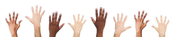 istock Set of various hands gestures isolated on white 935405062