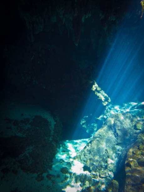 istock Snorkeling in a cenote. 935405074