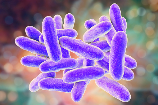 Legionella pneumophila bacteria, 3D illustration, the causative agent of Legionnaire's disease