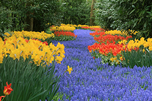 istock Spring Park Colorful Keukenhof Gardens 93540686