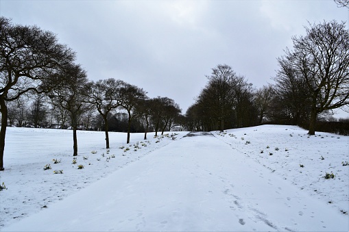 A snowy landscape taken in late Winter.