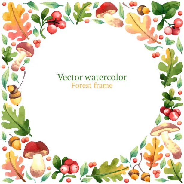 Vector illustration of Floral frame