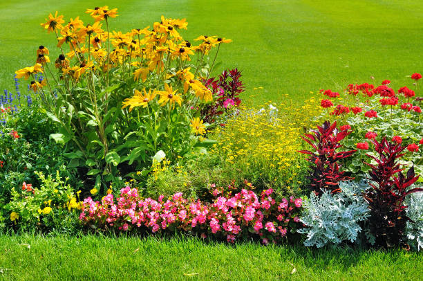 Summer flower bed and green lawn background .
