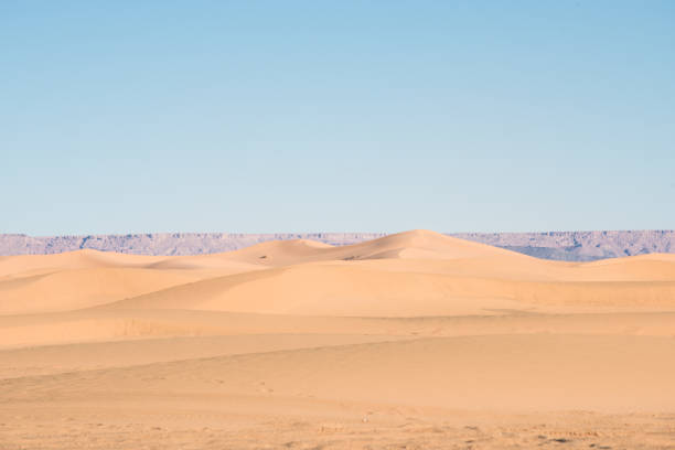 Erg Chebbi Sand Dune at Sunrise, Morocco, Africa