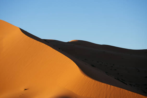 istock Erg Chebbi Sand Dune at Sunrise, Morocco, Africa 935422916