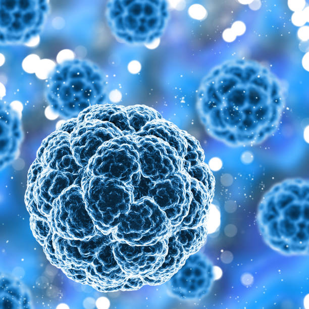 istock 3D medical background with virus cells 935428328