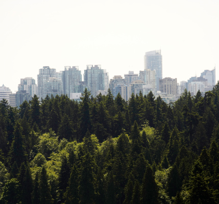 Canadian cityscape behind a forest