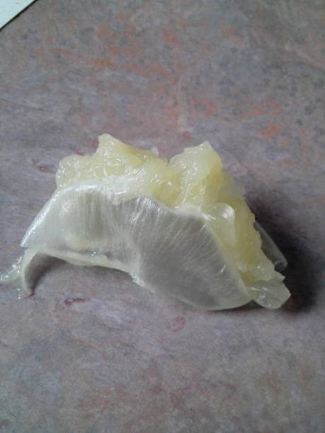istock Lemon fleshy interior endocarp 935433488