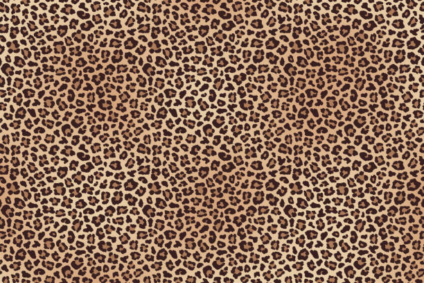 leopard fell horizontale textur. vektor - leopard stock-grafiken, -clipart, -cartoons und -symbole