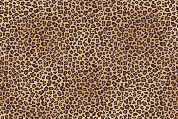 Leopard fur horizontal texture. Vector Animal leopard fur horizontal texture. Vector illustration panthers stock illustrations