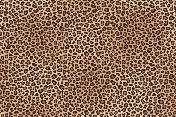 Leopard fur horizontal texture. Vector Animal leopard fur horizontal texture. Vector illustration printmaking technique stock illustrations