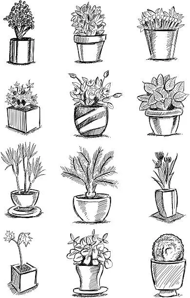 Vector illustration of flowerpot