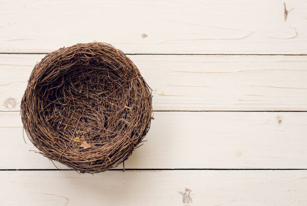 istock Top view blank nest wooden background with space. 935468050