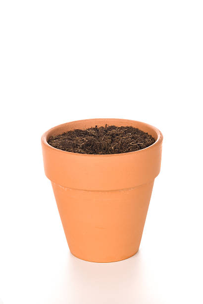 istock Clay Flower Pot with Soil 93546936