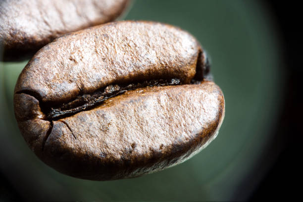 Macro Photo of a single coffee grain on a dark background
