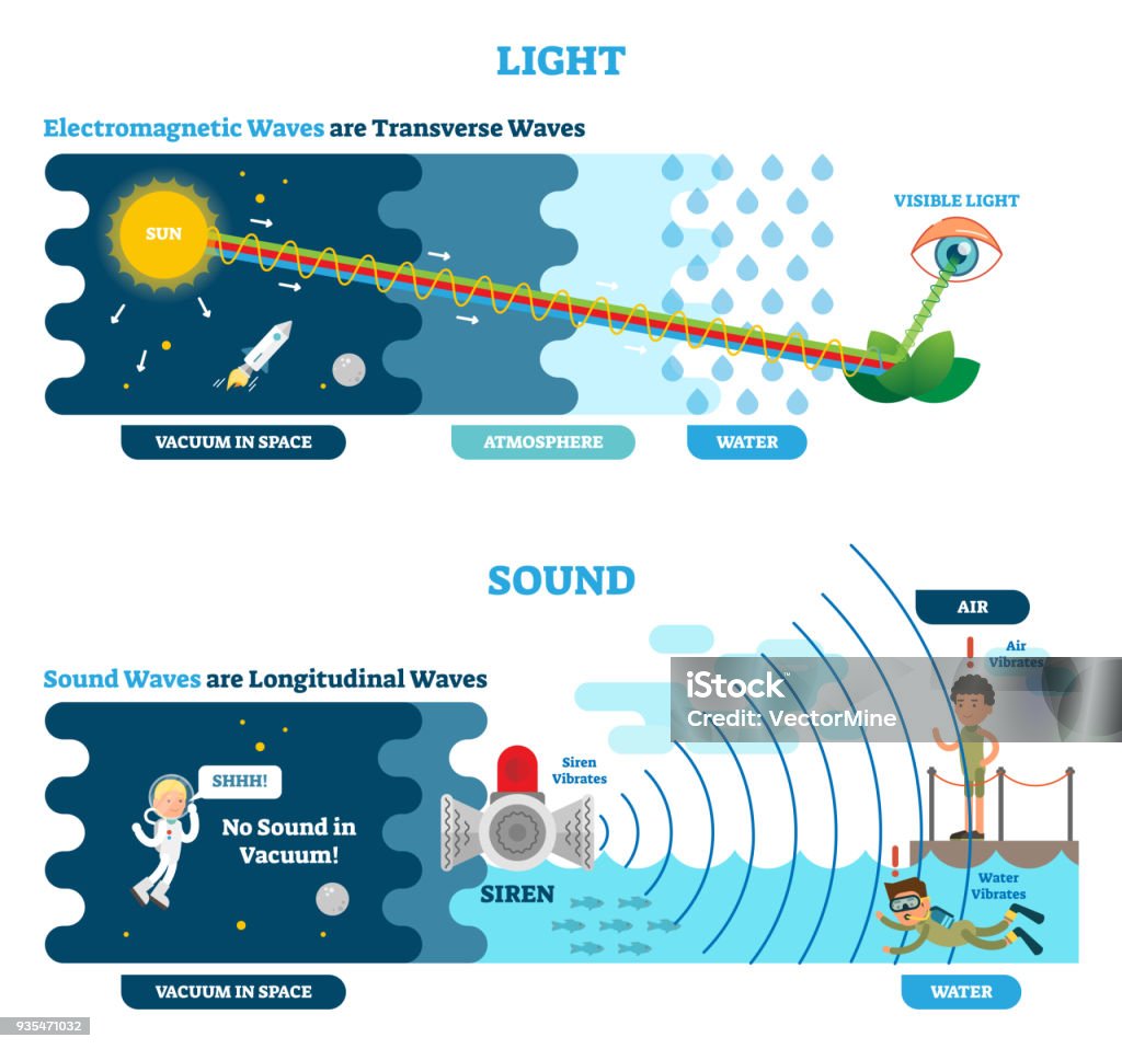 Longitudinal and Transverse wave type, vector illustration scientific diagram. Sonic and visual perception principle. Longitudinal and Transverse wave type, vector illustration scientific diagram with wave structure and difference. Sonic and visual perception principle. Diagram stock vector Longitudinal and Transverse wave type, vector illustration scientific diagram. Sonic and visual perception principle. Longitudinal and Transverse wave type, vector illustration scientific diagram with wave structure and difference. Sonic and visual perception principle. Diagram stock vector