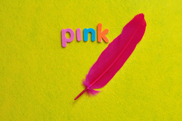 A pink feather with the word pink on a yellow background