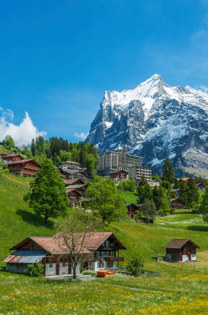 идиллический пейзаж швейцарии - berne canton фотографии стоковые фото и изображения
