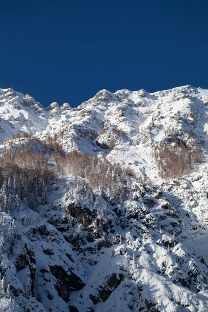 istock Winter mountain landscape with snow-covered trees 935472038
