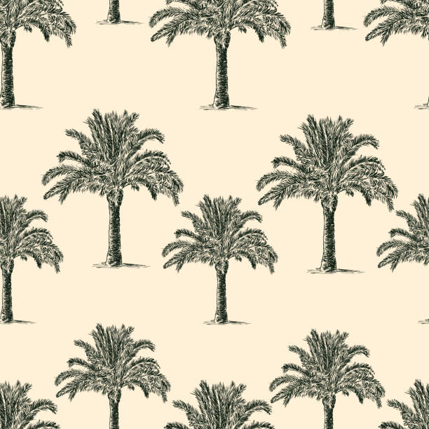 seamless background of the palm trees Vector pattern of the tropical palm trees. date palm tree stock illustrations