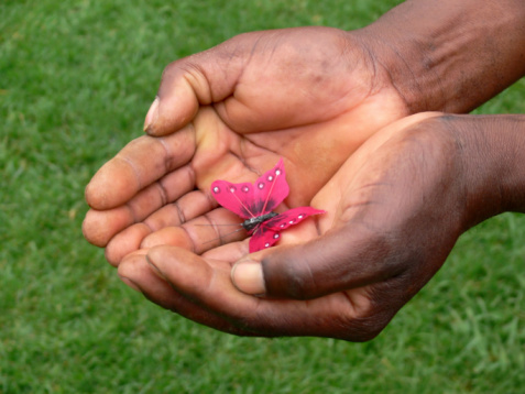 Gardner holding a butterfly with his dirty hands.