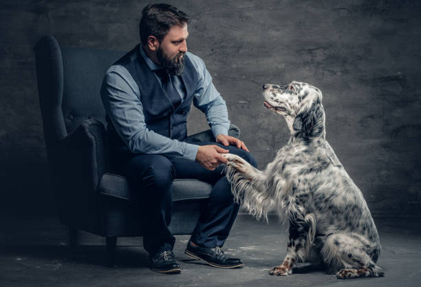 macho barbudo elegante senta-se em uma cadeira e o cachorro setter irlandês. - place setting fotos - fotografias e filmes do acervo