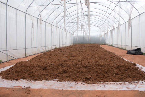 istock green house on plant. 935480200