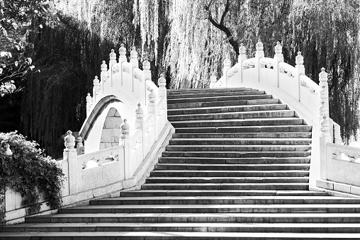 Black and white image of marble bridge and weeping willow trees in the Beihai Park (near the Forbidden City) in Beijing, China in morning sunlight. The fence and the trees cast shadows on the stairs.