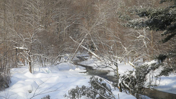 istock Flowing Stream, Freshly Fallen Snow, Winter Wooded Landscape 935483632