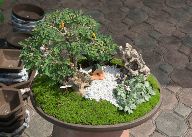 istock Small garden design with home in pot 935484338