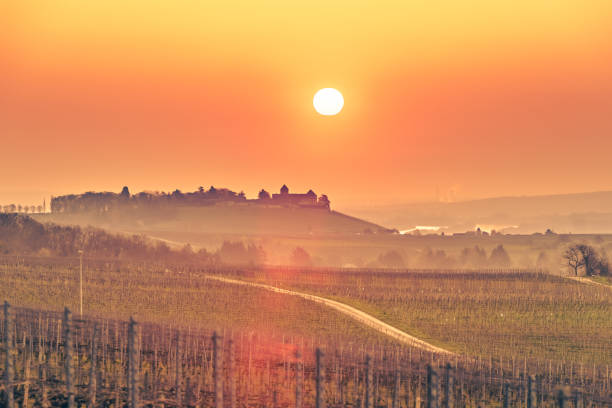 istock sunrise over vineyards at Rheingau 935488434