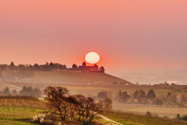 istock sunrise over vineyards at Rheingau 935488462