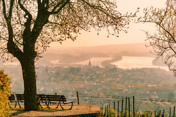Beautiful landscape outlook witch overview the vineyards until river Rhein in the backgound at the famous wine growing area Rheingau, Germany.
