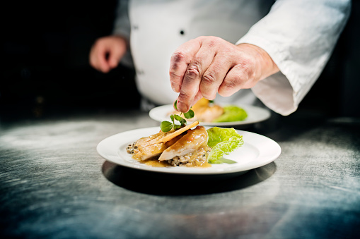 Professional chef putting the final flourish to the dish by adding a sprig of watercress to the dish of slow cooked chicken breast served on a bed of bulgur risotto. Colour, horizontal with some copy space. Photographed in a restaurant on the island of Møn in Denmark.