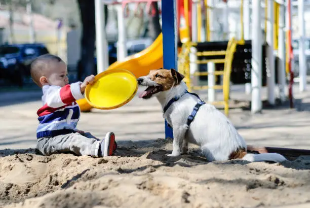 Baby and dog playing together outdoor