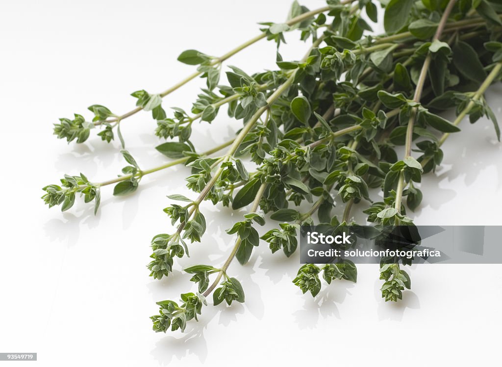 Origano erbe aromatiche - Foto stock royalty-free di Aneto