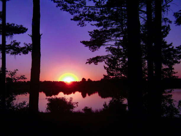 Dramatic sky and sunset in forest over lake water