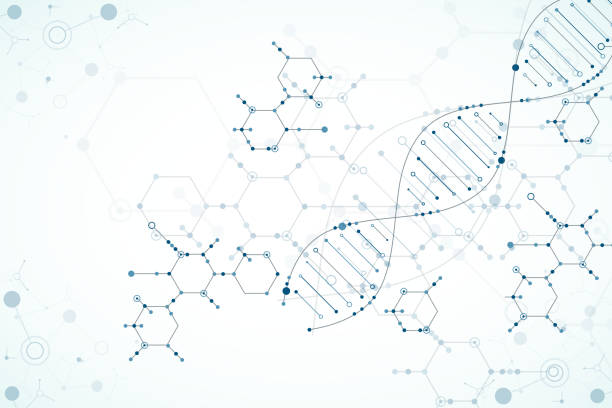 illustrazioni stock, clip art, cartoni animati e icone di tendenza di modello scientifico, sfondo molecole di dna. - medical research medicine laboratory computer graphic