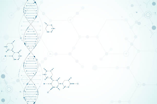 wissenschaft-vorlage, dna-moleküle hintergrund. - molecular structure dna molecule chemistry stock-grafiken, -clipart, -cartoons und -symbole