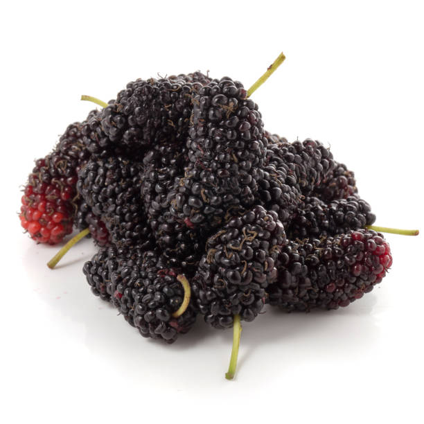 istock Mulberry fruit, Mulberry isolated on white background. 935511640