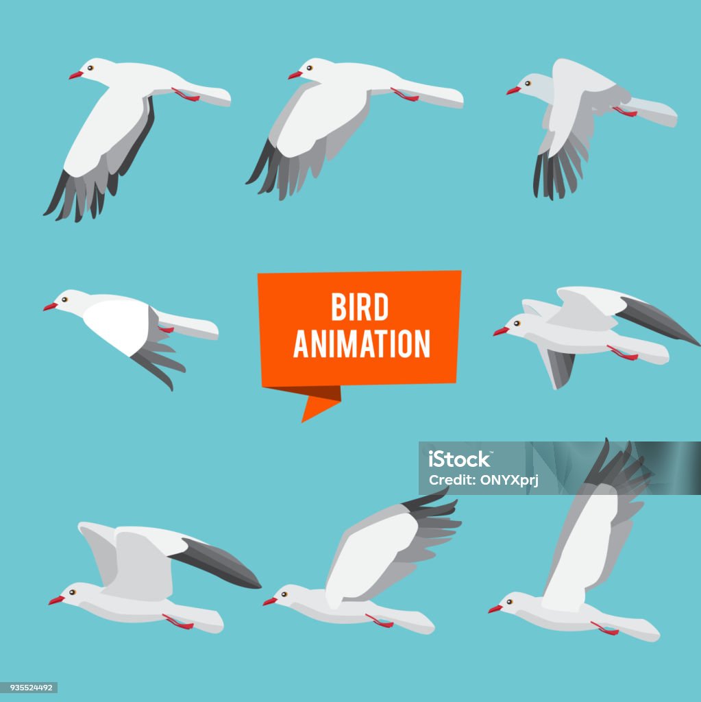 Key frames of animation flying bird Key frames of animation flying bird. Animation bird fly, animal wildlife fly loop beak, vector illustration Bird stock vector
