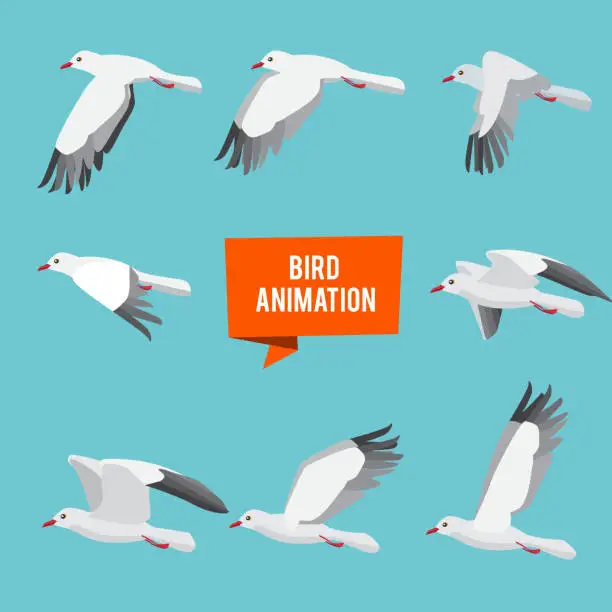 Vector illustration of Key frames of animation flying bird