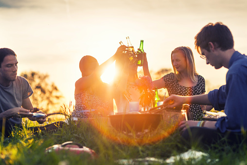 Friends toasting bottles and having a picnic on field
