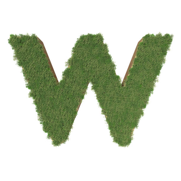 istock Alphabet W made of green tree on white background. 935536546