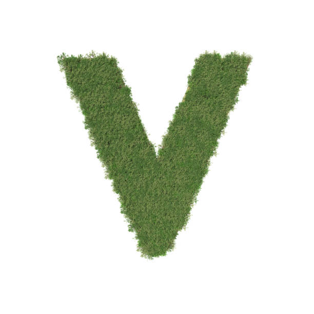 istock Alphabet V made of green tree on white background. 935537408