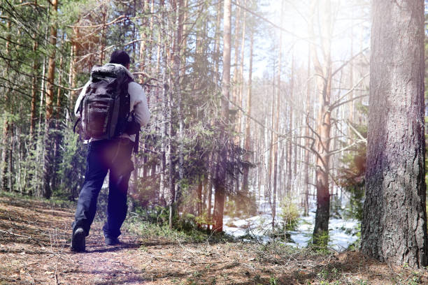 istock A man is a tourist in a pine forest with a backpack. A hiking tr 935538616