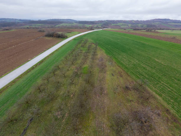 istock Landscape with agriculture fields and orchard on cloudy day in early springtime. Aerial view. 935542702