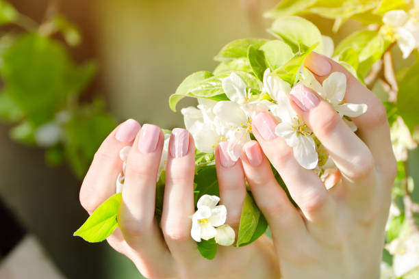 istock Female hands with apple tree flowers, manicure. Close up 935559676