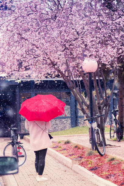 istock Spring in Tirana, Albania 935578072