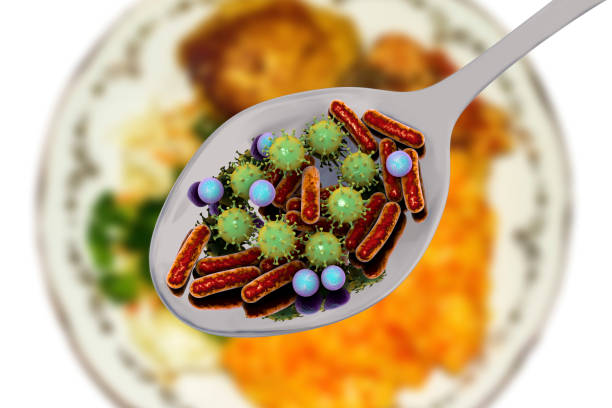 음식 감염, 의료 개념 - fecal coliform bacteria 뉴스 사진 이미지